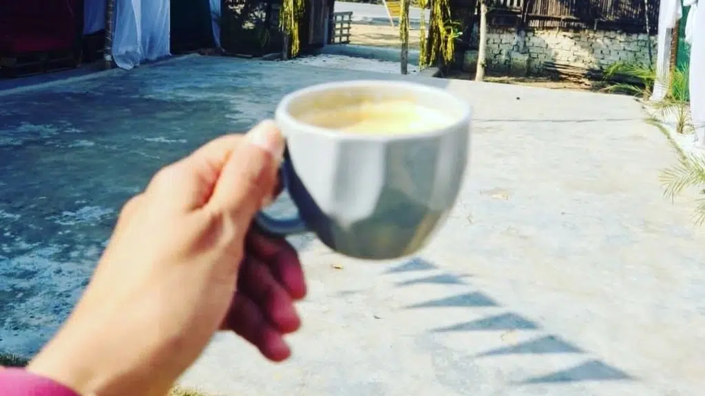 Cafe Flying Turtlee
