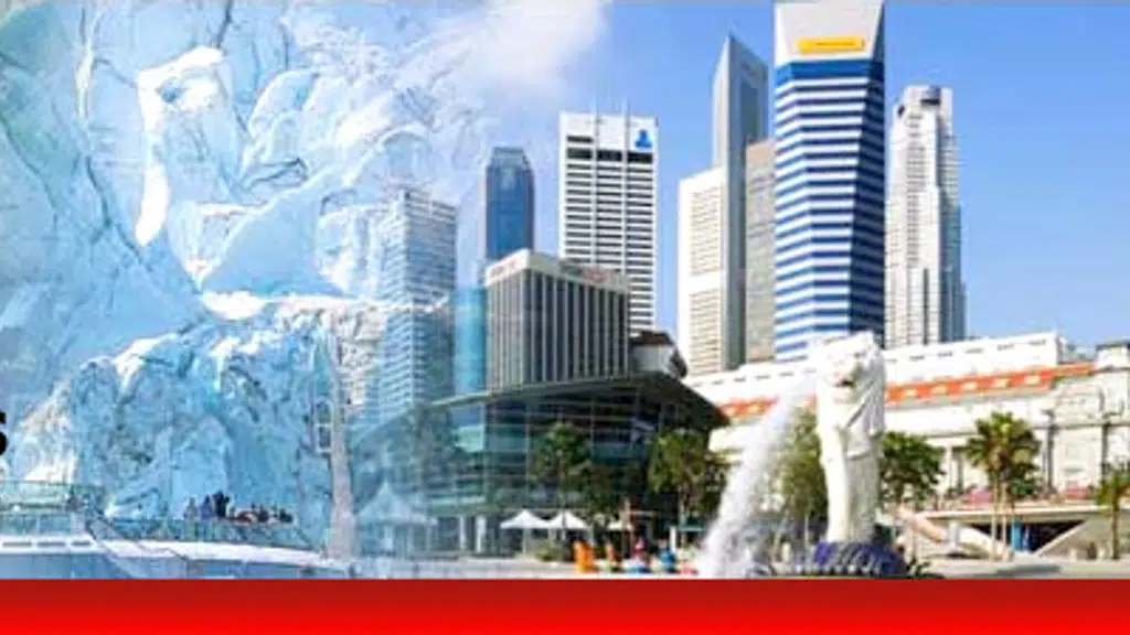 Alliance Tours and Travels