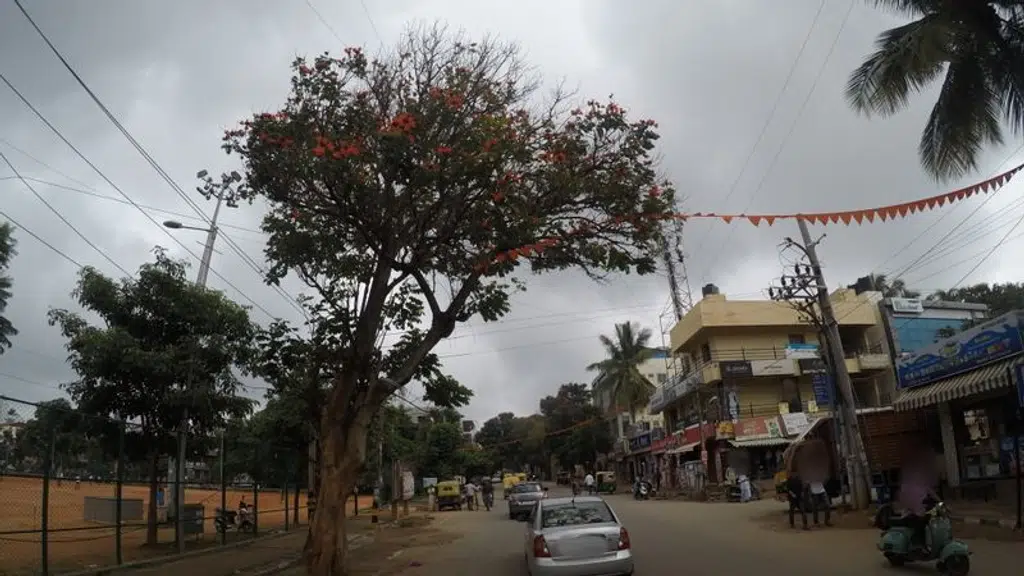 Sri Krishna Upahara