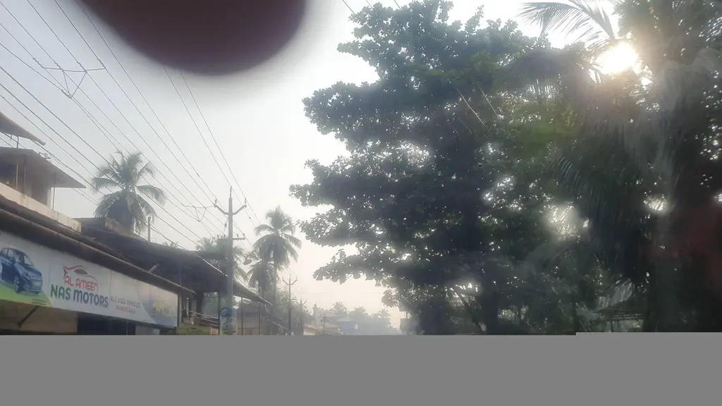 Pulikkal Unani Hospital