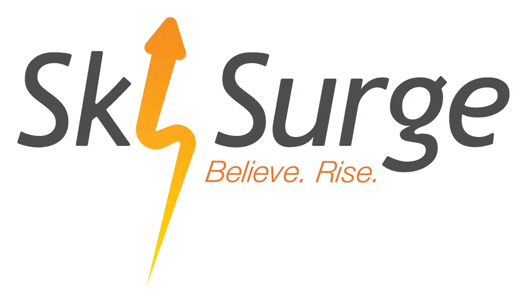 Skysurge Business Solutions Private Limited