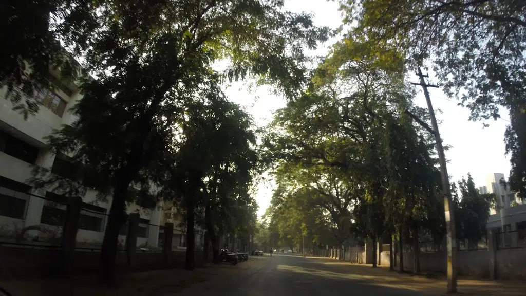 Nalini Arvind and T.V. Patel Arts College