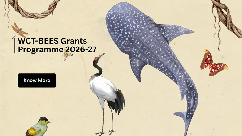 Wildlife Conservation Trust