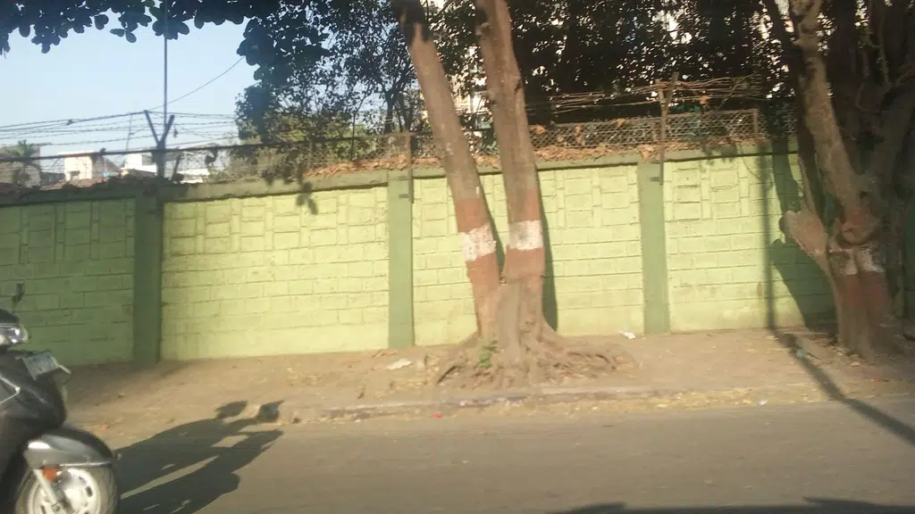 Indian Tadka