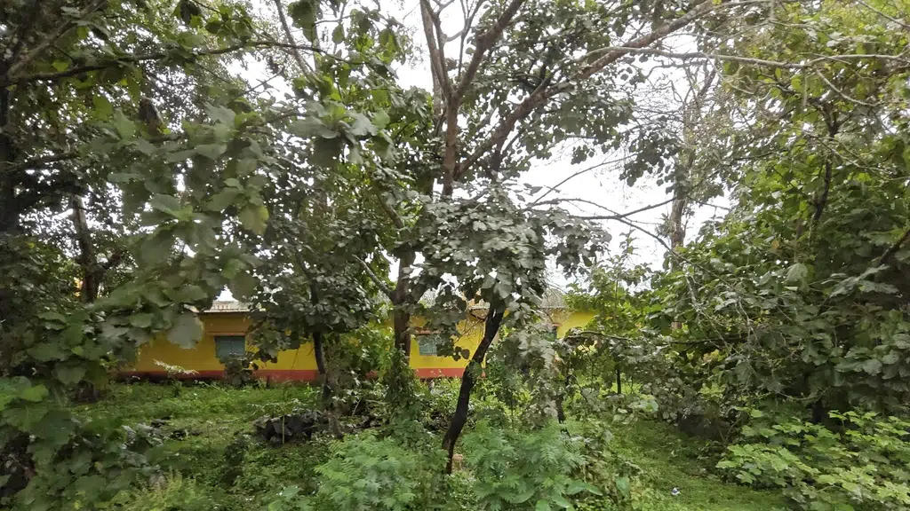Government High School Kirawatti