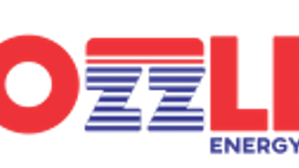Bozzler Energy Pvt Ltd