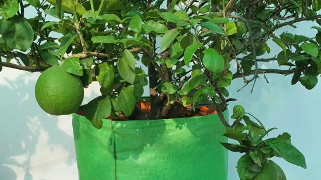 Subhiksha Organics