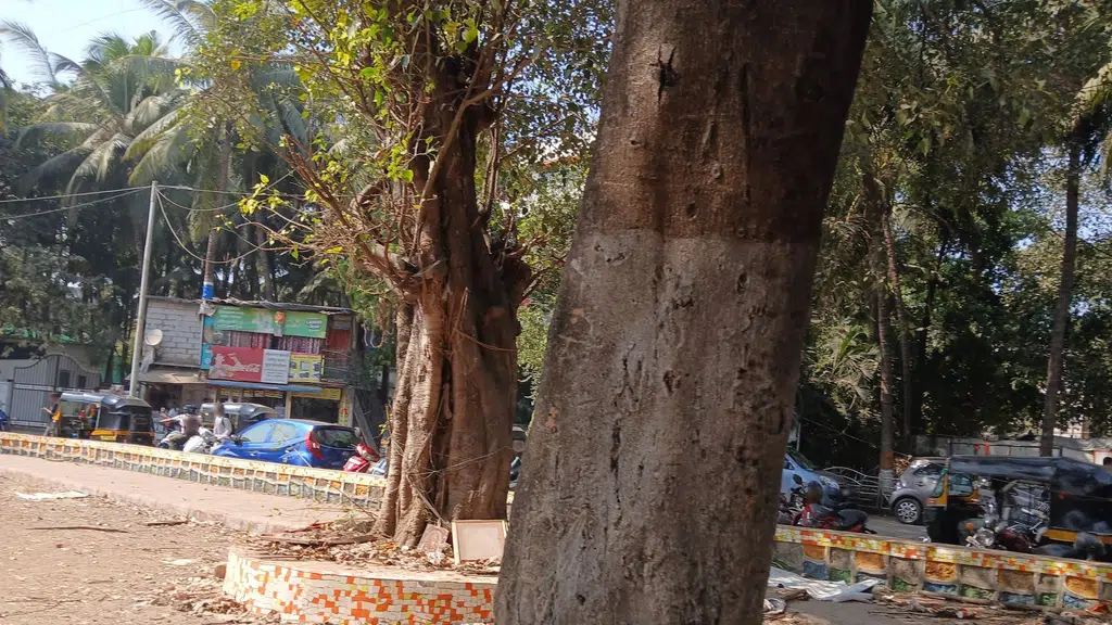 Hiray College