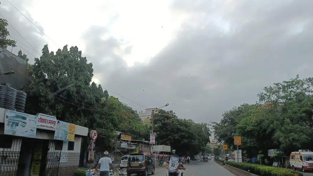 Wellness Forever Pharmacy - Nityanand Nagar, Ghatkopar W