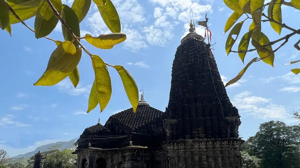 Trimbakeshwar Pujari