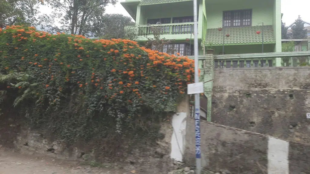 Neera Medical Store