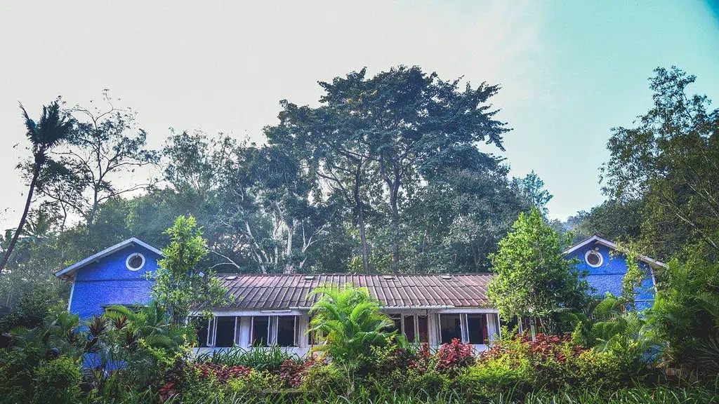Wild Flower Homestay