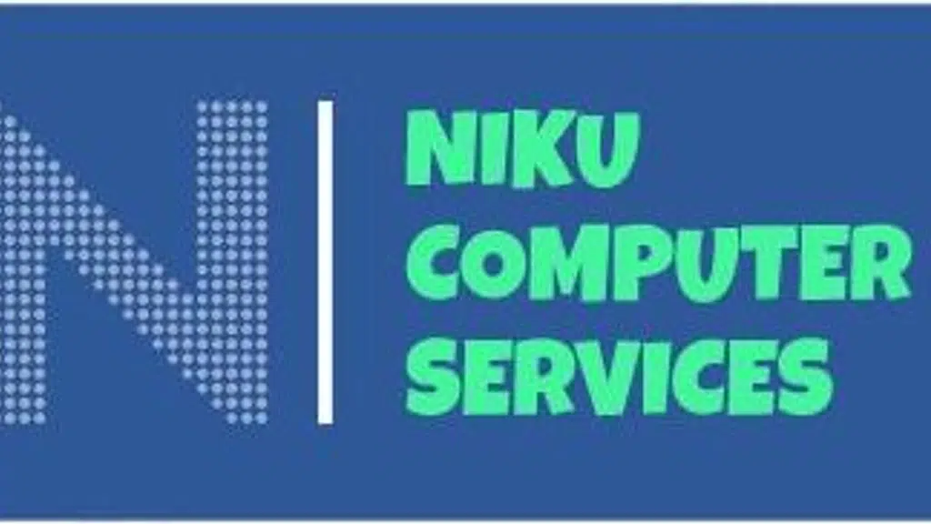 Niku Computer services