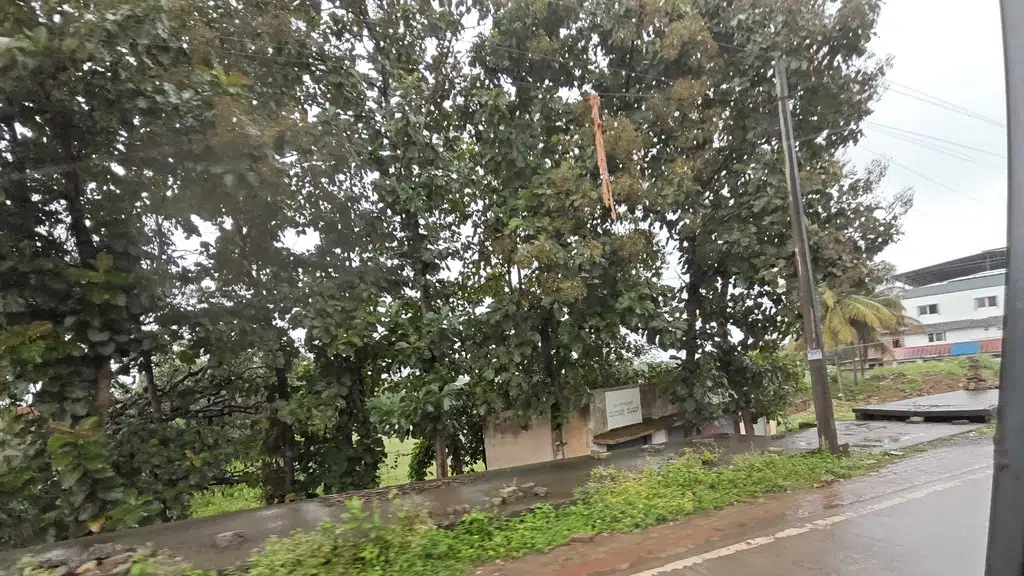 Tahalsildar and Taluk Dandadhikarigala Office