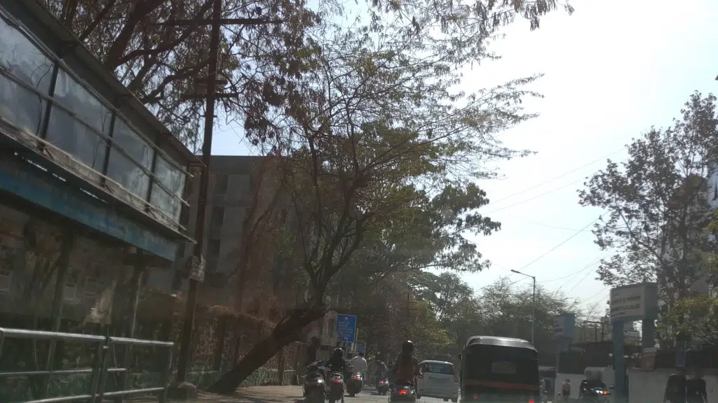 Modern College Shivajinagar ,Pune
