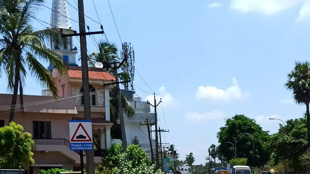 Tamilnadu Veterinary & Animal Scs University