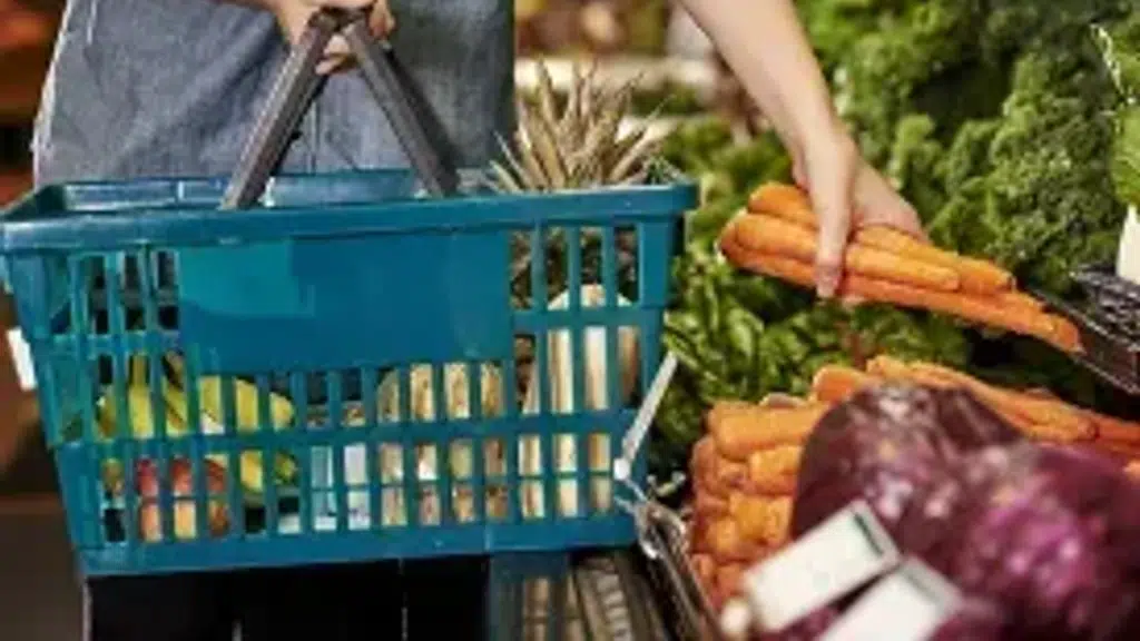 Sanesa Natural Farms LLP