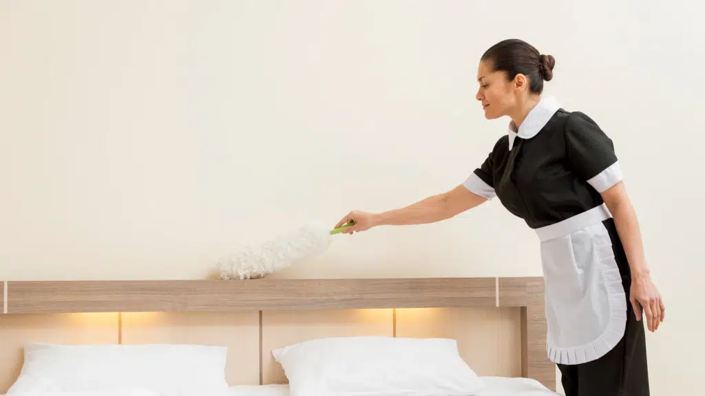 Maid in Jaipur