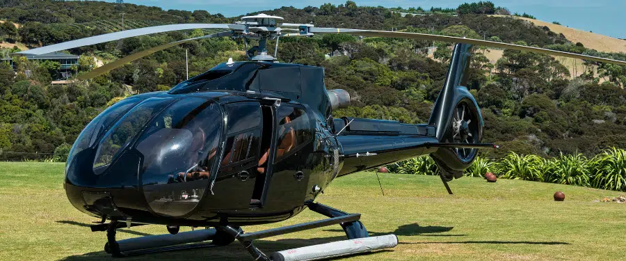 Dragonfly Aviation Services Pvt. Ltd.