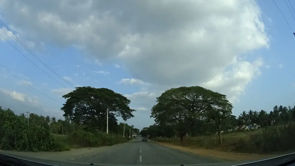 P&T Jungle farm
