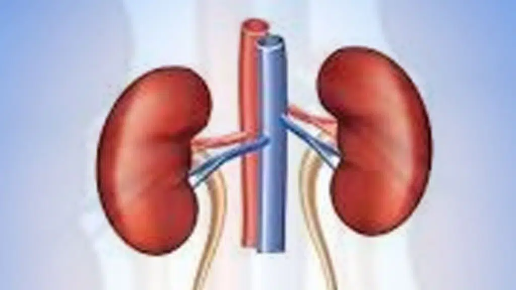 Anandan's Andrology Clinic