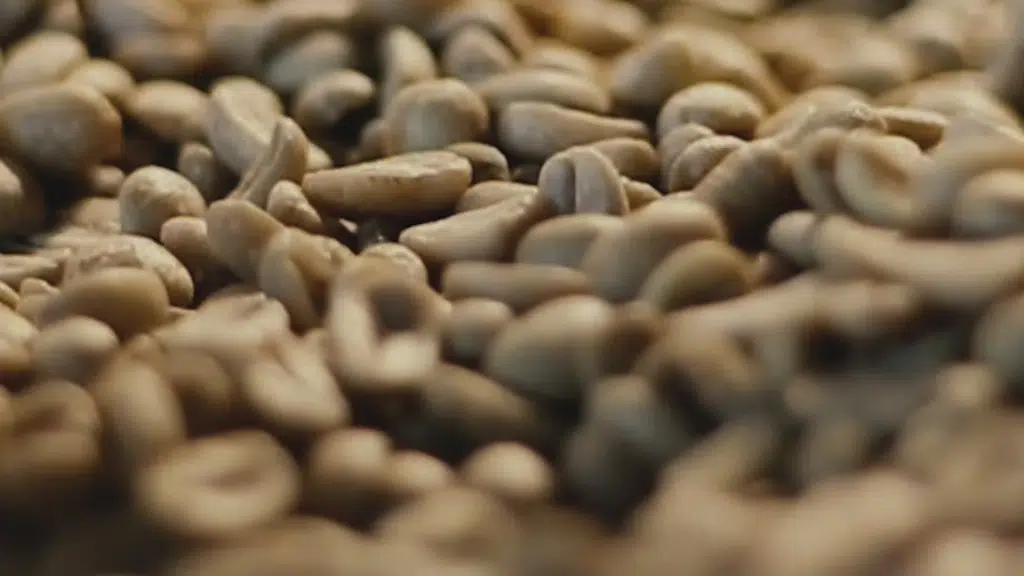Soul Brew Coffee
