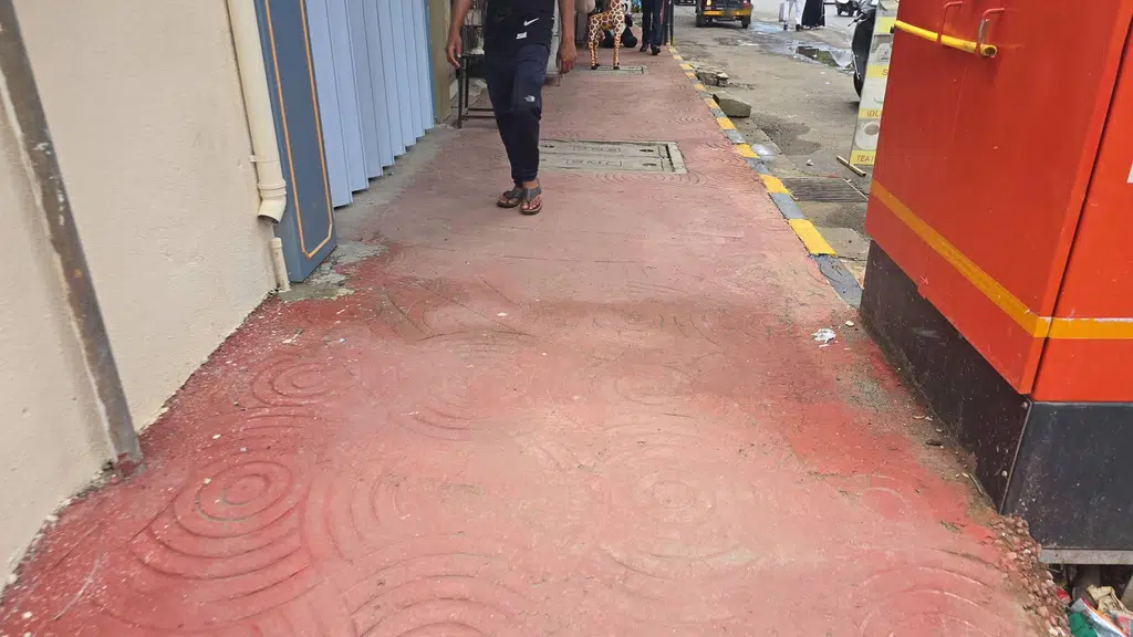 Pawfectionist.inc Mumbai