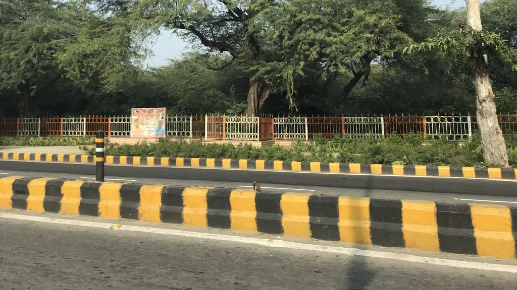 Delhi Earth Station