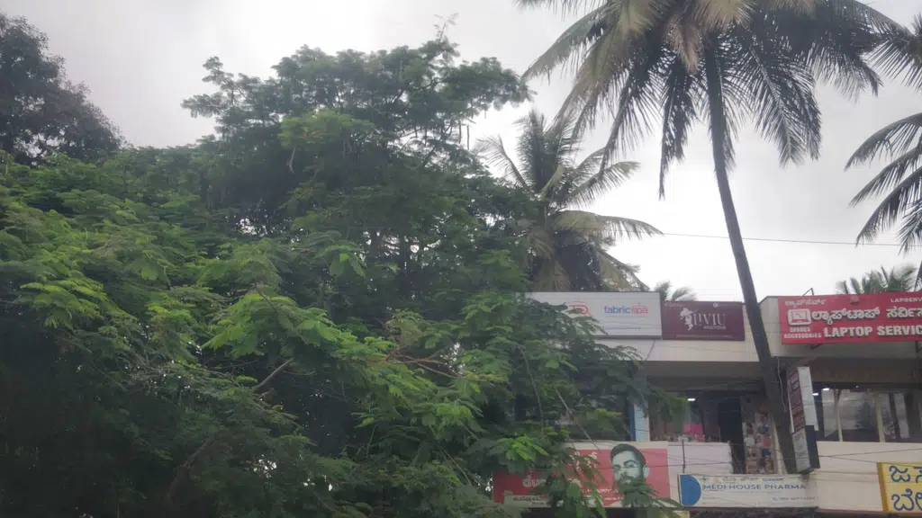 Bangalore - White Field Main Rd Branch ATM
