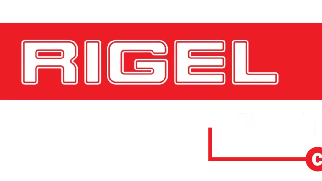 Rigel Networks - Staffing & BPO Services