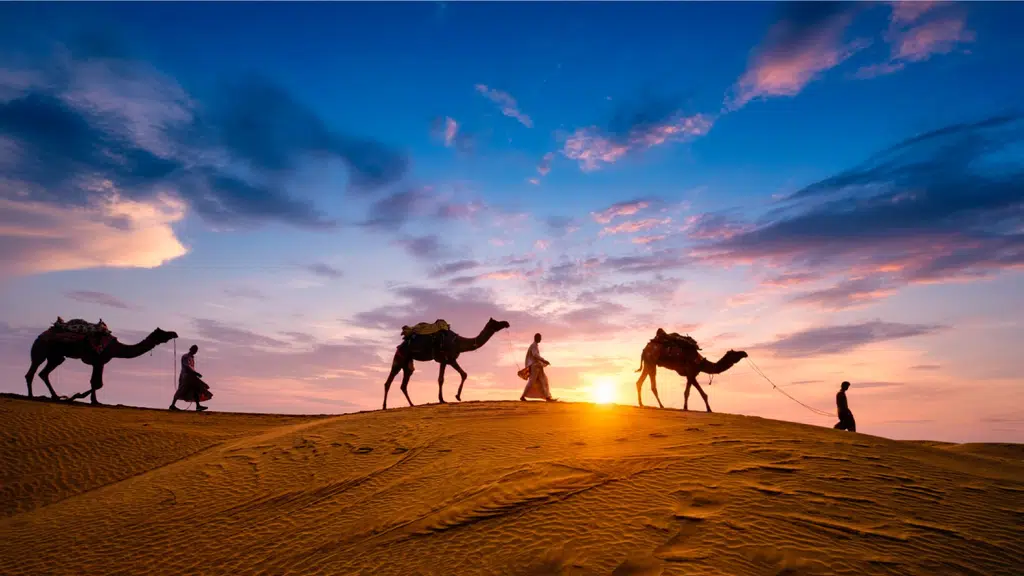 Live India Tours Pvt. Ltd