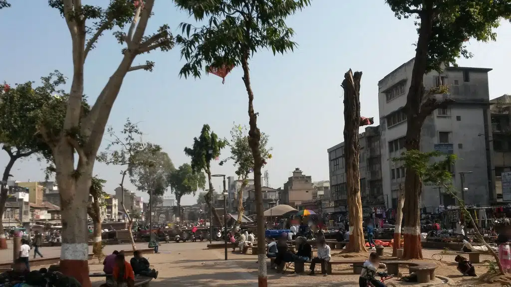DCP Zone 2 Office