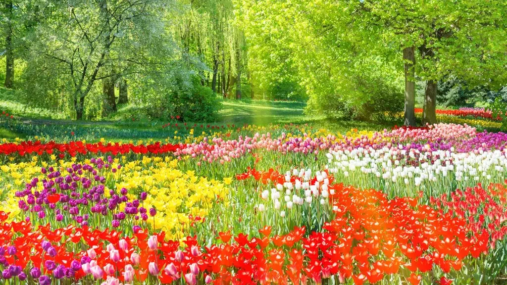 Choice Gardens Resort