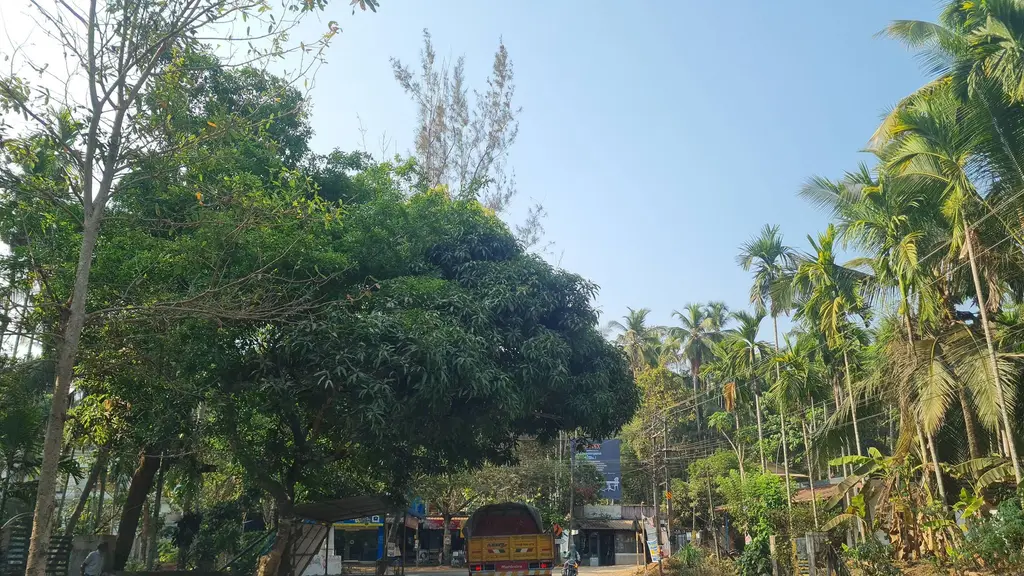 Lohiamemorial ALPS Nirmallur