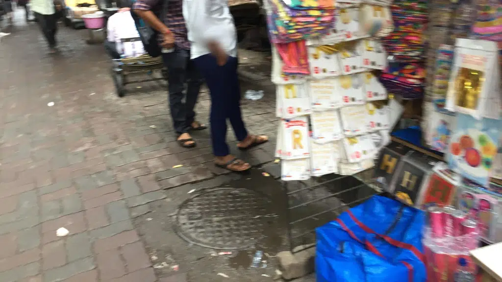 Balaji Bags