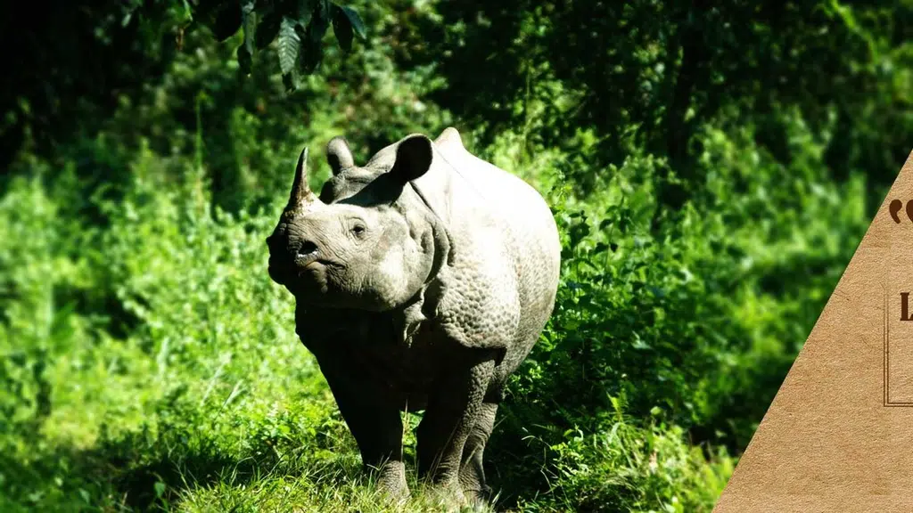 Gorumara National Park, Lataguri