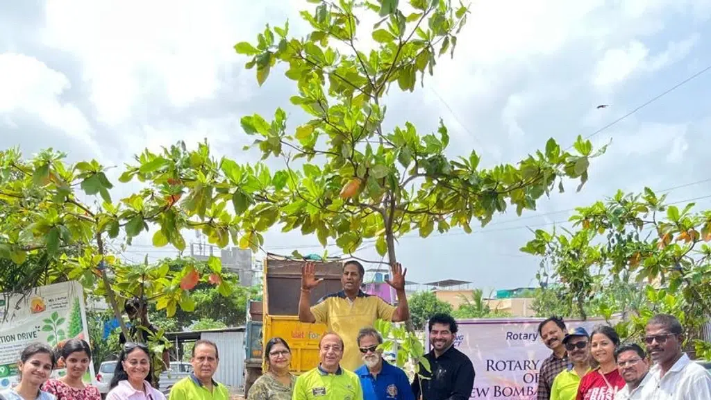 Rotaract Club Of New Bombay Seaside