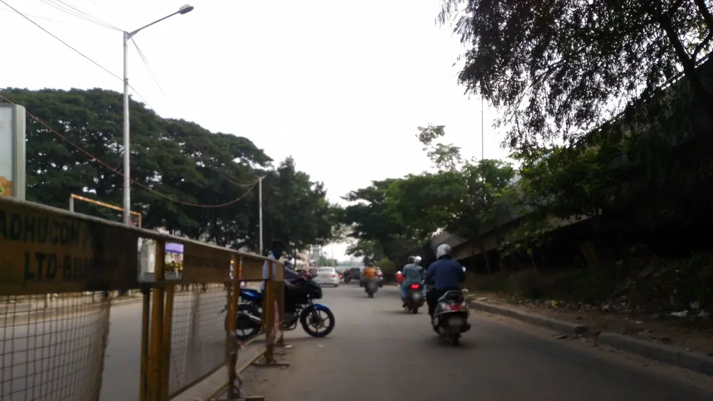 Indian Institute Of Science and Arts
