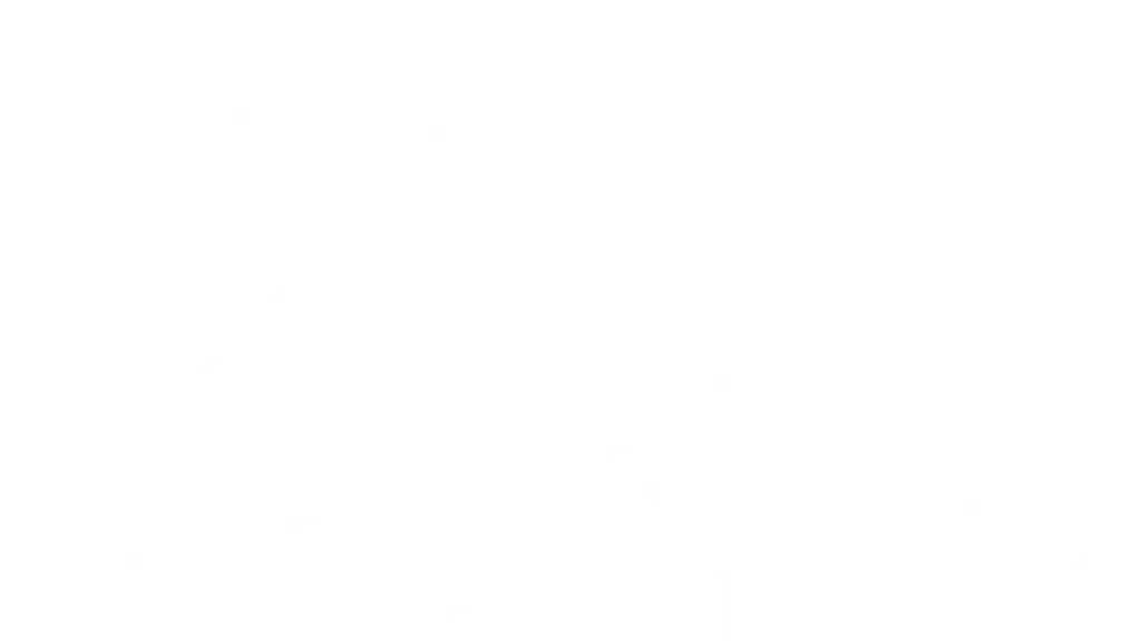 Curated Catering By Design