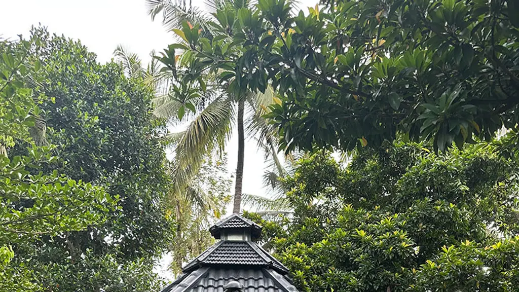 Nature Bliss Resort Coorg
