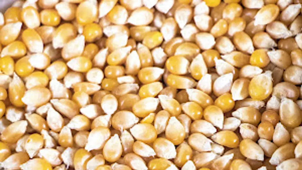 Jai kisan international traders