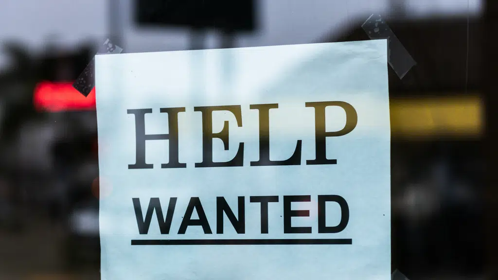 Servico Recruitment Consultancy