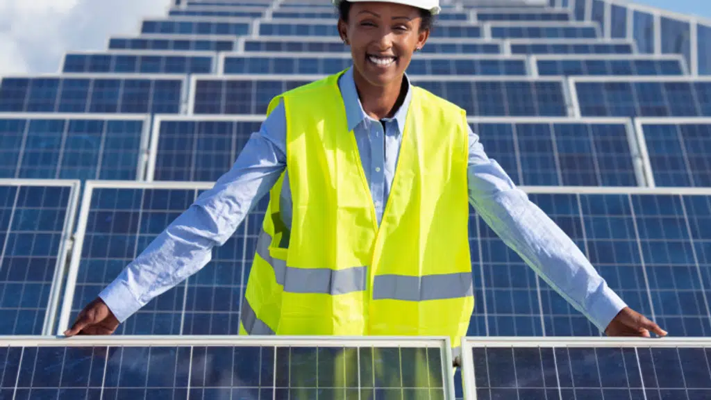 Thermosun Engineering and Power India Pvt. Ltd.