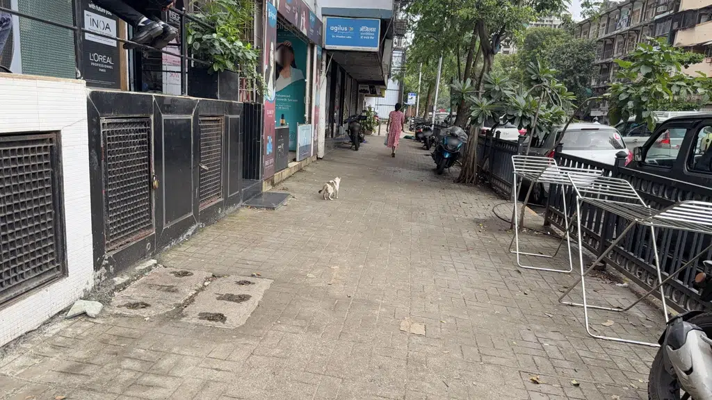 Domino's