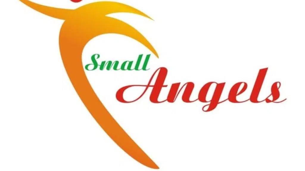 Small Angel Playway School