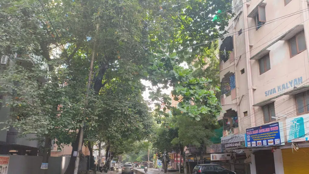 Sri Prasanna Kirana and General Stores