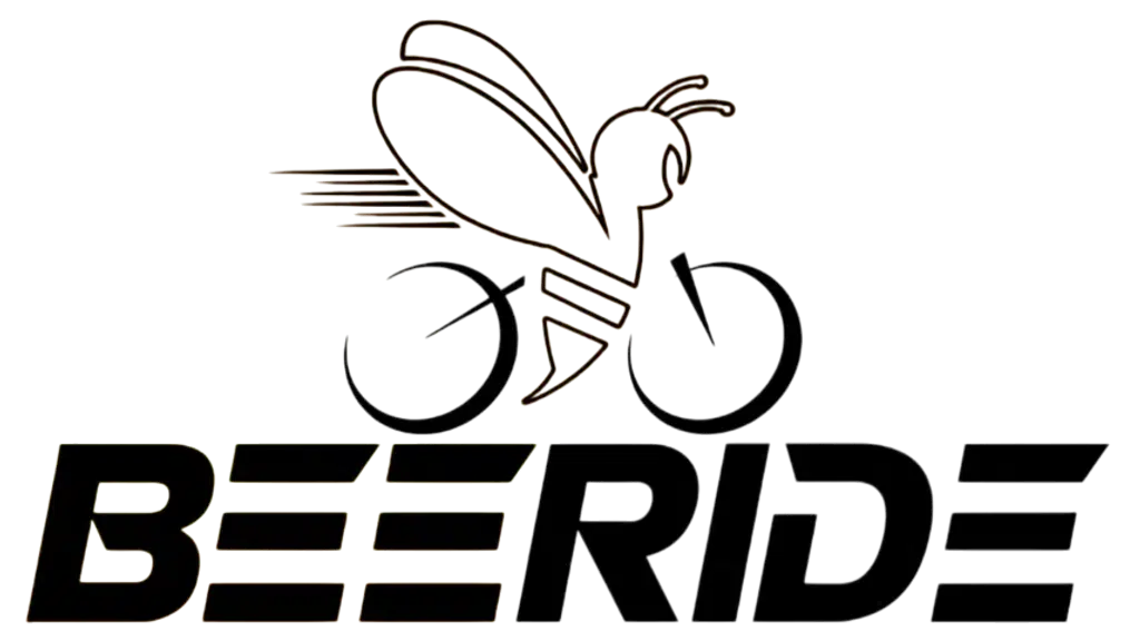 Beeride Components Private Limited