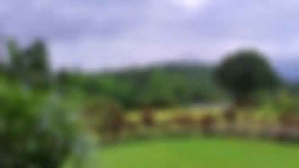 Breathe Woods Pvt. Ltd.