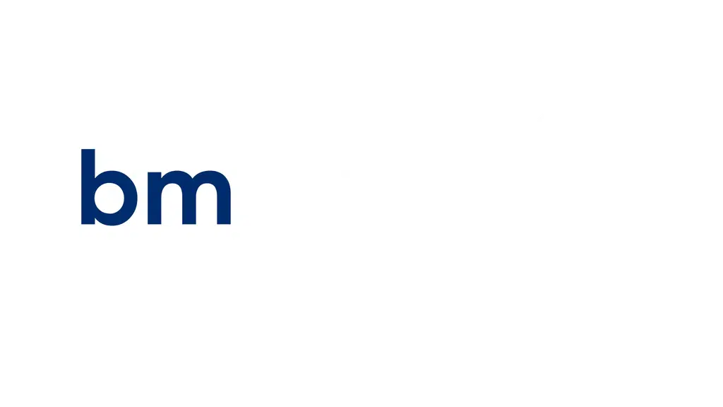 Biz Millennium