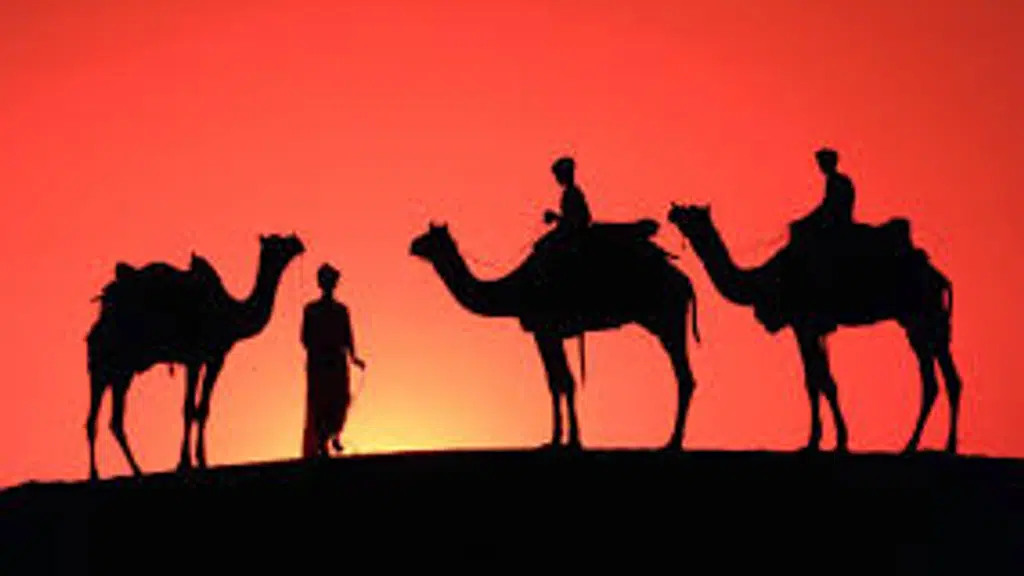 Travel to India to Rajasthan